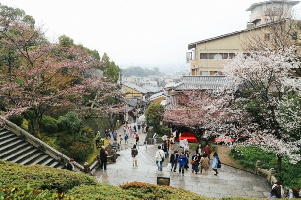 Discover the Best of Japan and South Korea with Bamba Travel’s New Flexible Itineraries: Personalized Options for Accommodation, Activities, and Transport